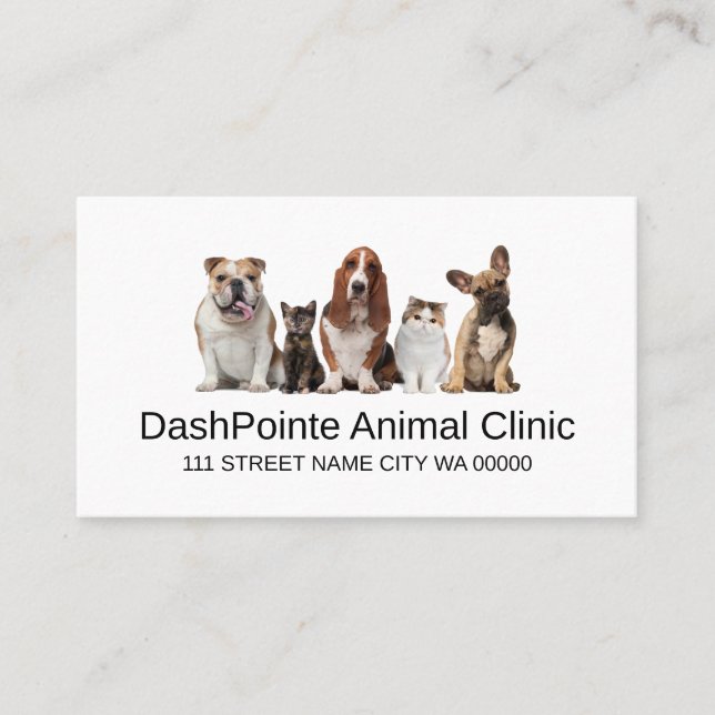 Pet Animal Clinic  Shelter Veterinary Business Car Business Card (Front)
