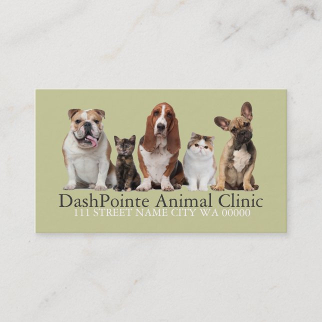 Pet Animal Clinic  Shelter Veterinary Business Card (Front)