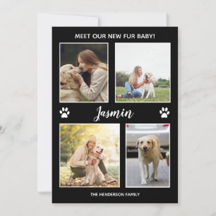 Pet Announcement New Fur Baby Photo Collage
