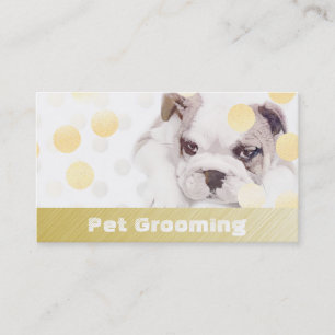 Pet Bathing and Grooming Bulldog Appointment