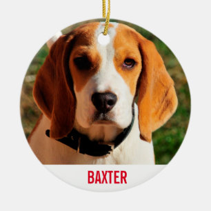 Pet Beagle Dog Photo Personalised Ceramic Tree Decoration