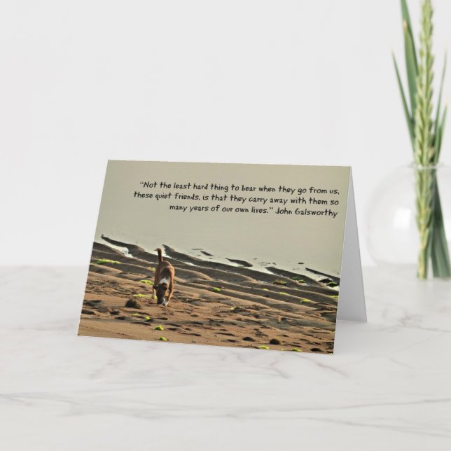 Pet Bereavement card, dog sympathy card (Front)
