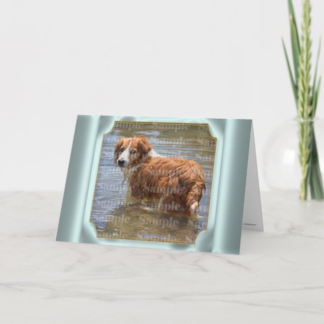 Pet bereavement PHOTO | with poem Card (Front)