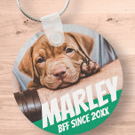 Pet BFF Best friend Photo Modern Cool Simple Key Ring<br><div class="desc">Design is simple with a simple color background and sans serif typography for a superhero look.</div>