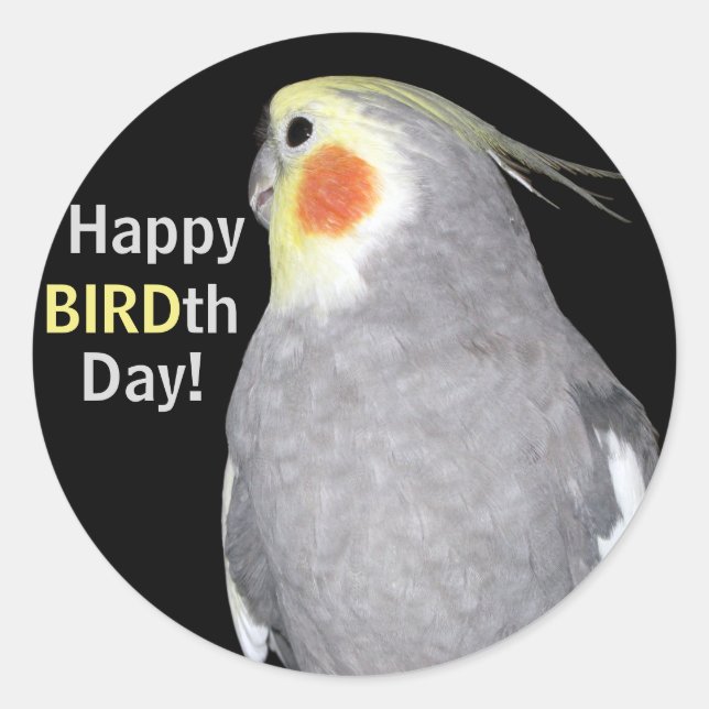 Pet Bird Cockatiel Photo Happy BIRDth Day Birthday Classic Round Sticker (Front)