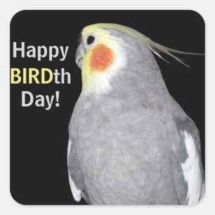 Pet Bird Cockatiel Photo Happy BIRDth Day Birthday Square Sticker