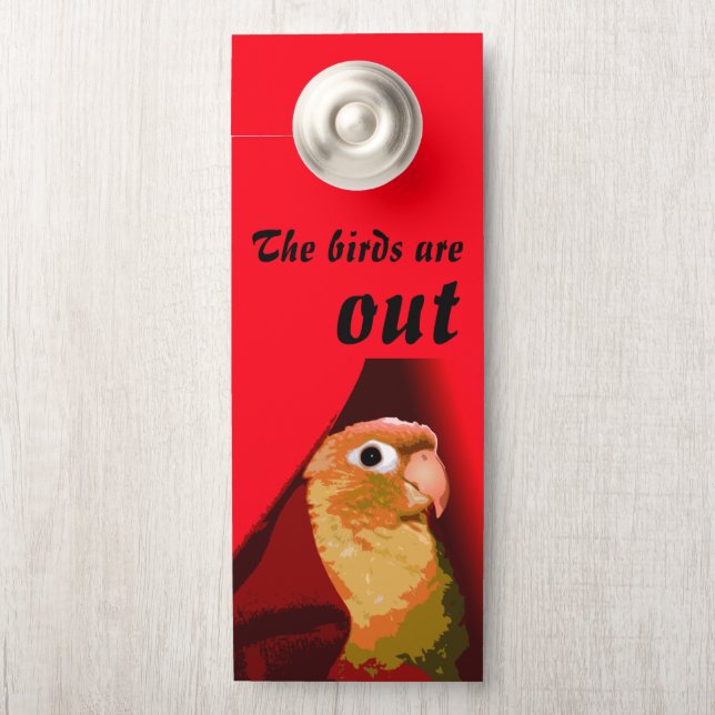Pet Bird Safety Conure Parakeet Escape Prevention Door Hanger (On Knob)