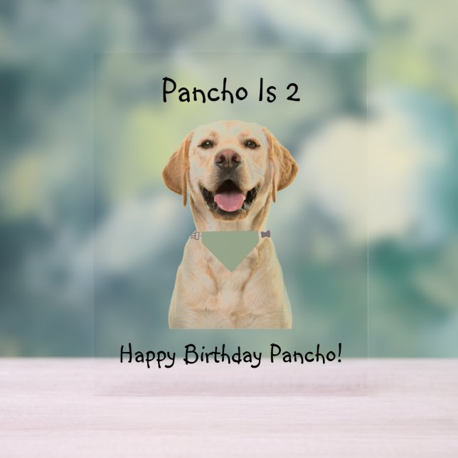 PET BIRTHDAY ACRYLIC SIGN (Neutral)
