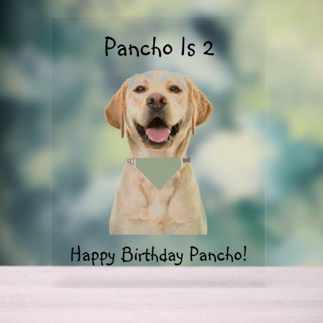 PET BIRTHDAY ACRYLIC SIGN (Neutral)