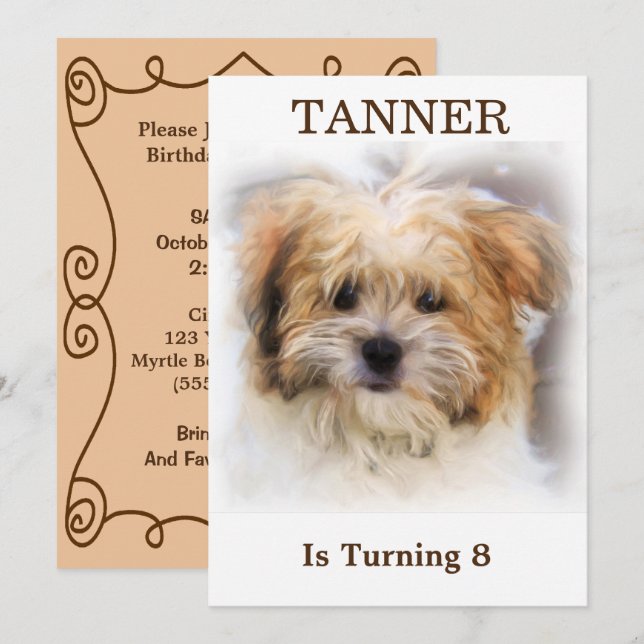 Pet Birthday Party Invitation (Front/Back)