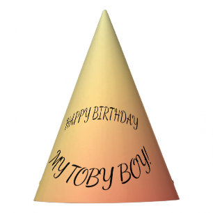 Pet Birthday Sunset Gradient Curved Script Design Party Hat