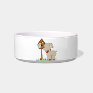 Pet Bowl