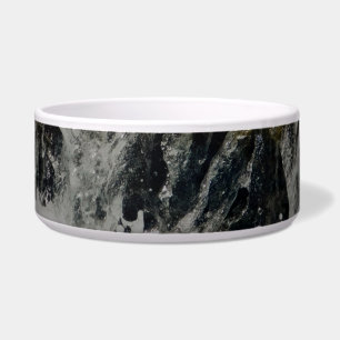 Pet Bowl Beach rock pool design style 