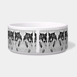 Pet Bowl- Large