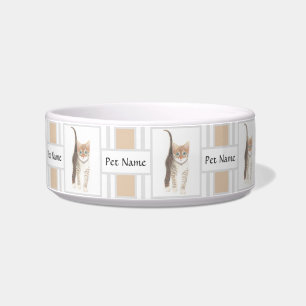 Pet Bowl With Tabby Image And Text
