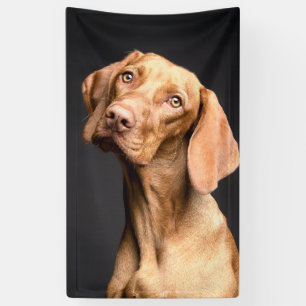 Pet Brown Beagle Dog Banner
