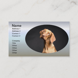 Pet Brown Beagle Dog Business Card