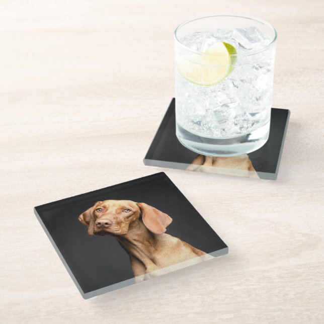 Pet Brown Beagle Dog Glass Coaster (Angled)