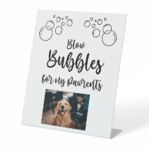 Pet Bubble Blowing Wedding Day Send Off