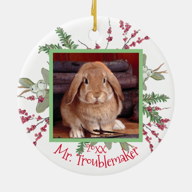 Pet Bunny Rabbit Christmas Photo Santa Cute Custom Ceramic Tree Decoration (Back)
