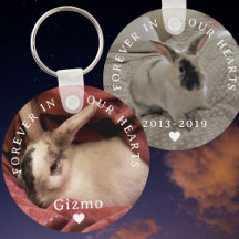 Pet Bunny Rabbit Memorial Two Photo | Name | Dates