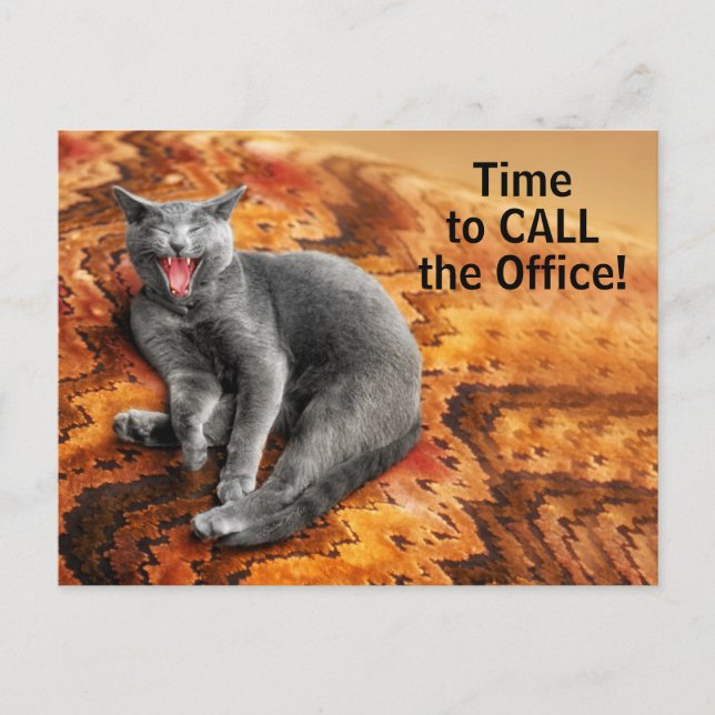 Pet Business Cat Veterinary Appointment Reminder Postcard (Front)