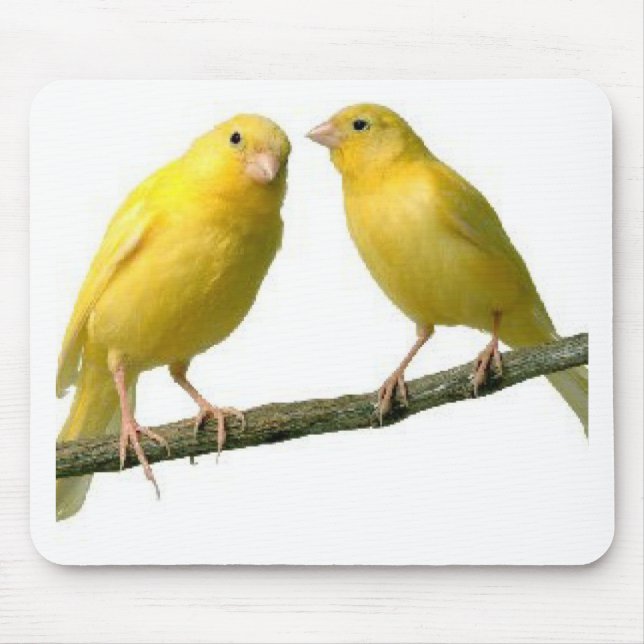 Pet Canary Bird Merchandise Mouse Mat (Front)