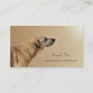 Pet Care and Adoption Business Card