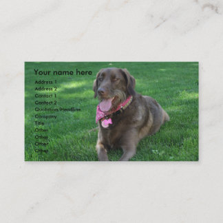 Pet care business card
