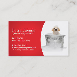 Pet Care Business Cards