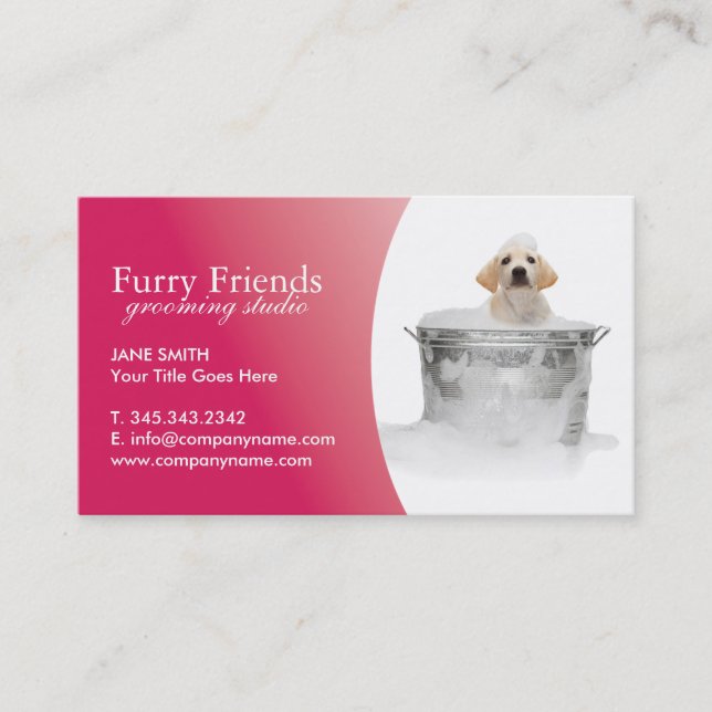 Pet Care Business Cards (Front)
