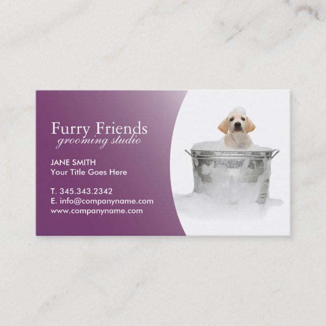 Pet Care Business Cards (Front)
