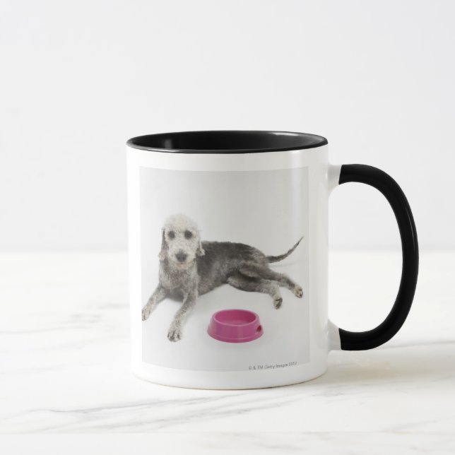 Pet care, health and nutrition for domestic pets mug (Right)