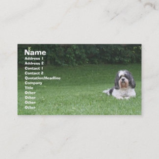 Pet care/pet sitting/yard care business card