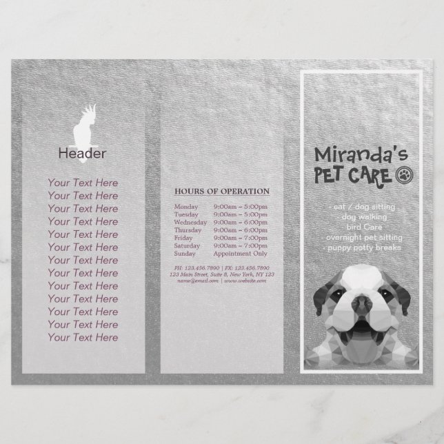 Pet Care Sitting Grooming Salon Tri-Fold Brochures (Front)