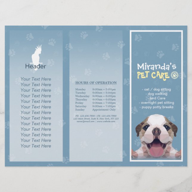 Pet Care Sitting Grooming Salon Tri-Fold Brochures (Front)
