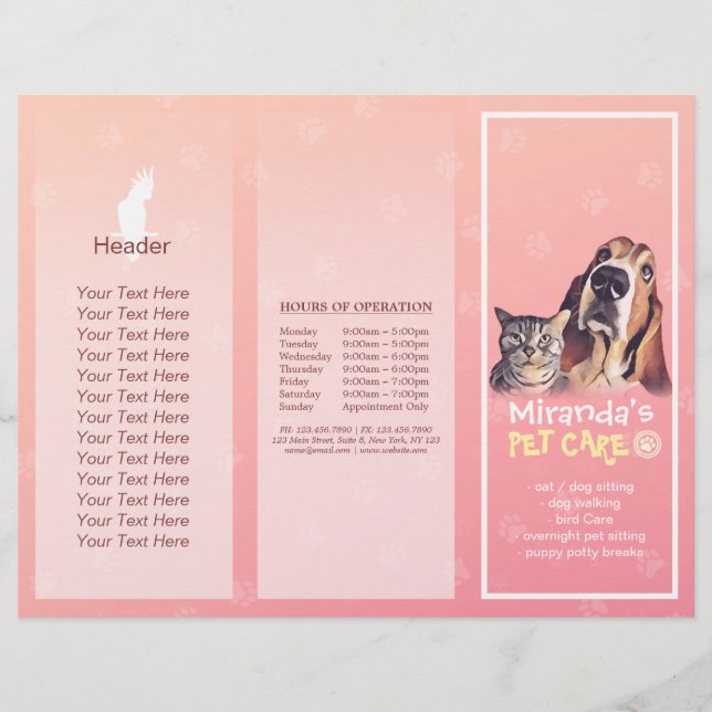 Pet Care Sitting Grooming Salon Tri-Fold Brochures (Front)