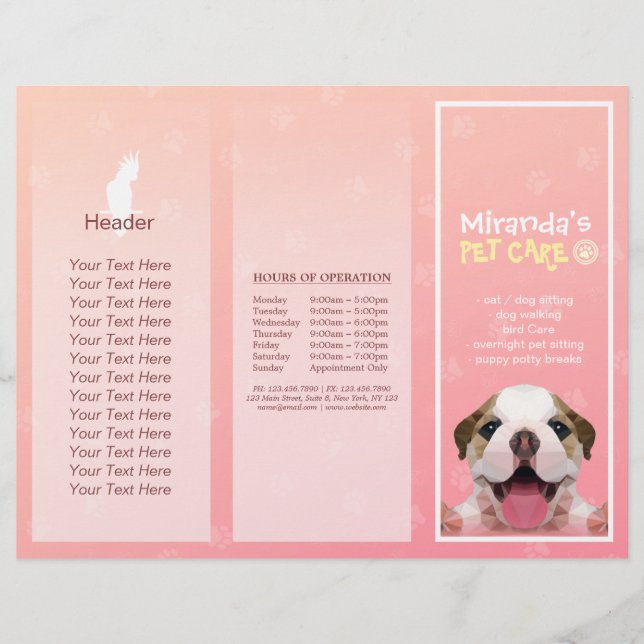 Pet Care Sitting Grooming Salon Tri-Fold Brochures (Front)