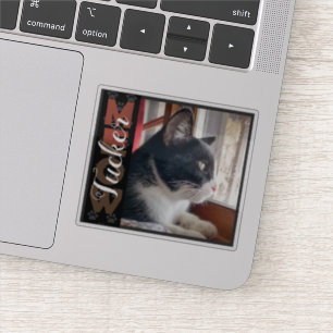 Pet Cat Custom Name and Photo