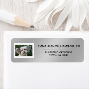 Pet Cat Dog Pet Photo Elegant Modern Silver