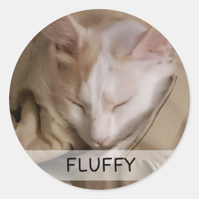 Pet Cat Dog Photo Name Classic Round Sticker (Front)