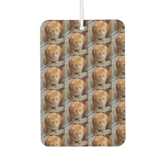 Pet Cat Dog Photo Personalise Custom Large  Car Air Freshener