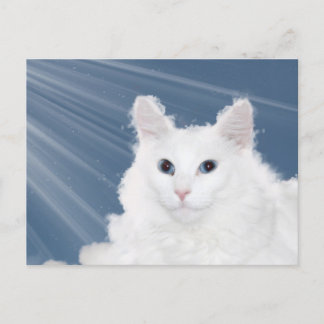 Pet cat loss sympathy postcard