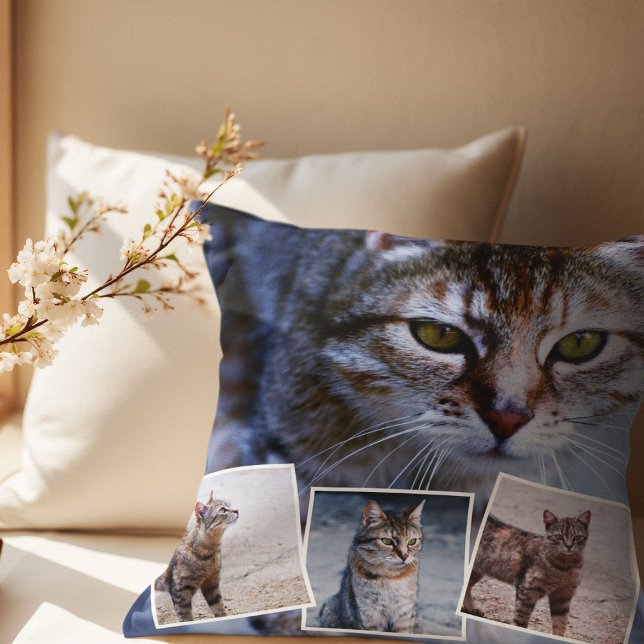 Pet Cat Memorial 4 Picture Collage & Quote Cushion (Creator Uploaded)