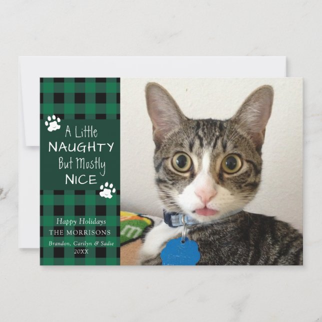 Pet Cat Naughty and Nice Green Black Plaid Holiday Card (Front)