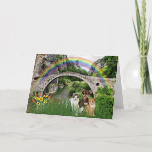 Pet Cat or Dog Rainbow Bridge Condolence  Sympathy Holiday Card