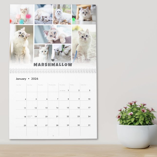 Pet Cat Photo Collage Calendar (Pet Cat Photo Collage Calendar)