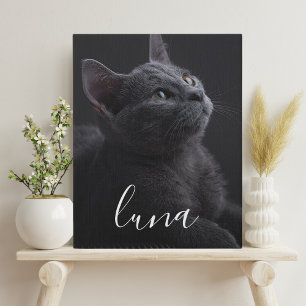 Pet Cat Photo Name Faux Canvas Print