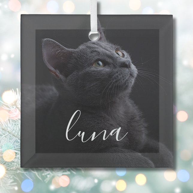 Pet Cat Photo Name Glass Tree Decoration (Pet Cat Ornament)