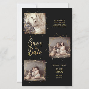 Pet Cheap Modern Calligraphy 3 Photos Engagement